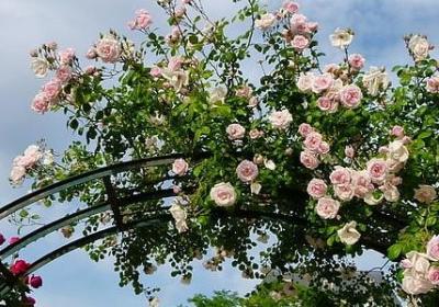 介绍家乡焦作的句子(共10句)