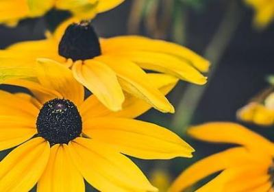 什么叫机会的句子(热门30句) 什么叫机会的句子(热门30句)