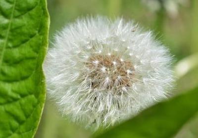 什么带领什么写句子(通用50句) 什么带领什么写句子(通用50句)