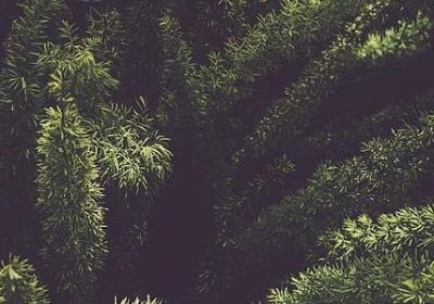 什么应该补充句子(热门50句) 什么应该补充句子(热门50句)