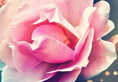 什么句子才算优美句子呢(61句) 什么句子才算优美句子呢(61句)