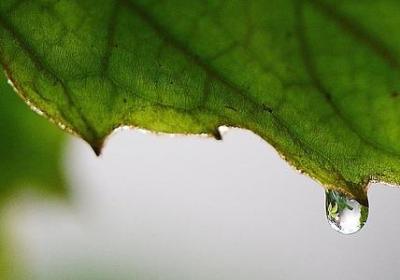 什么情话句子(精选60句) 什么情话句子(精选60句)