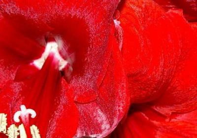 什么得什么 写句子(共50句) 什么得什么 写句子(共50句)