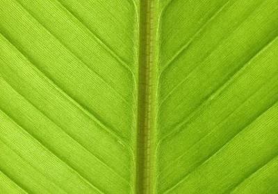 介绍群的句子(实用37句)