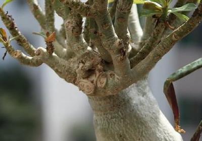 什么大海星辰句子(通用15句) 什么大海星辰句子(通用15句)