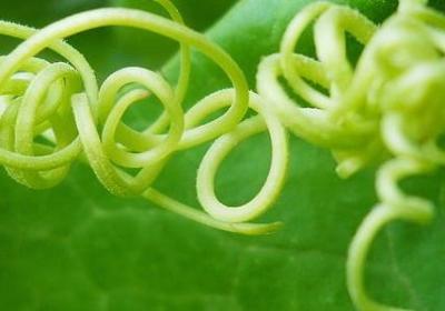 什么因为造句子(热门50句) 什么因为造句子(热门50句)