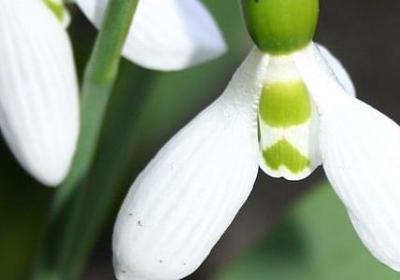 什么减什么写句子(合集40句) 什么减什么写句子(合集40句)