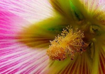 什么四面八方什么句子(共20句) 什么四面八方什么句子(共20句)