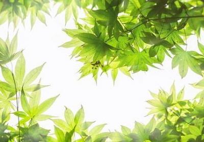 仞的词语和句子(合集40句)