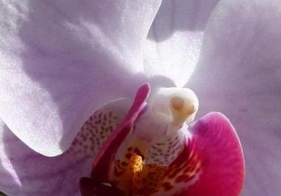 什么叫真正朋友的句子(优选50句) 什么叫真正朋友的句子(优选50句)