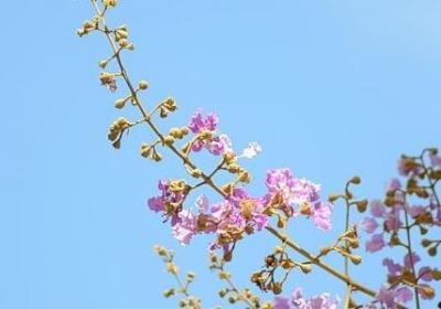 什么过六一句子(推荐12句)
