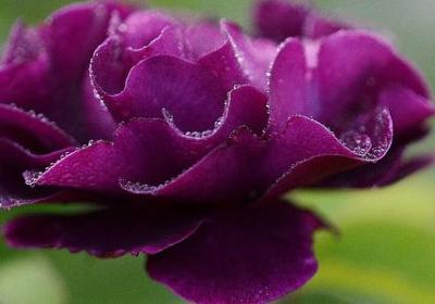 什么形容畅快的句子(实用40句) 什么形容畅快的句子(实用40句)