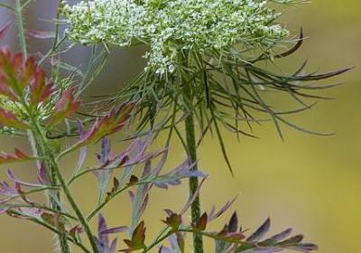 什么很威风补充句子(通用20句) 什么很威风补充句子(通用20句)