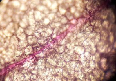 什么叫扩写句子(汇总61句) 什么叫扩写句子(汇总61句)