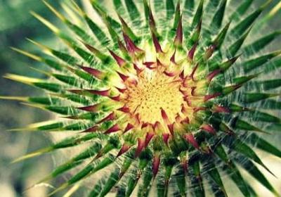 什么拽句子(必备60句) 什么拽句子(必备60句)