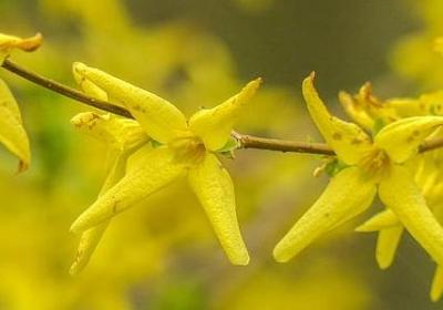 什么我很生气补充句子(推荐40句) 什么我很生气补充句子(推荐40句)