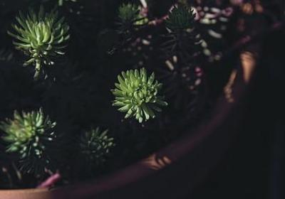 什么都没有的句子(推荐79句)