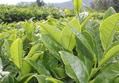 什么很好玩补充句子(精选40句) 什么很好玩补充句子(精选40句)