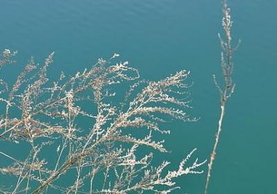 什么句子中要用for(必备40句) 什么句子中要用for(必备40句)