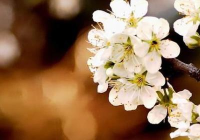 什么叫人什么写句子(汇总33句) 什么叫人什么写句子(汇总33句)