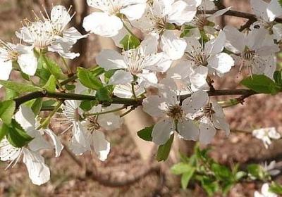 什么地土地写句子(汇总40句) 什么地土地写句子(汇总40句)