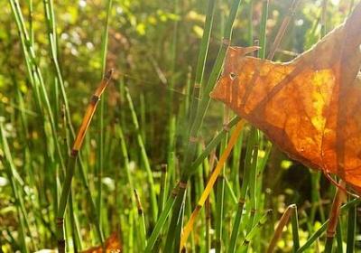 什么娘句子(70句) 什么娘句子(70句)