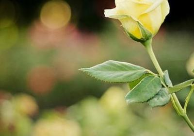 什么和什么类型句子(71句) 什么和什么类型句子(71句)