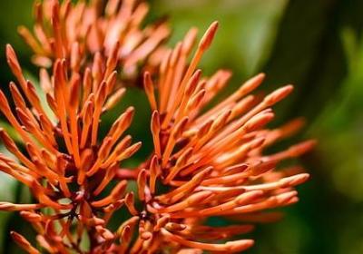 什么在对我微笑句子(精选50句) 什么在对我微笑句子(精选50句)