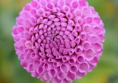 代表牢固情形的句子(推荐50句)