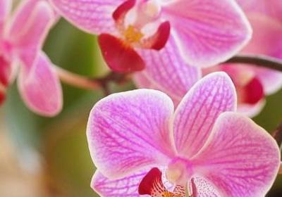 什么因为什么写句子(热门18句) 什么因为什么写句子(热门18句)