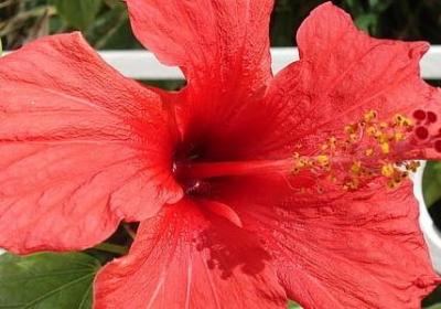 什么因我而改变句子(合集40句) 什么因我而改变句子(合集40句)