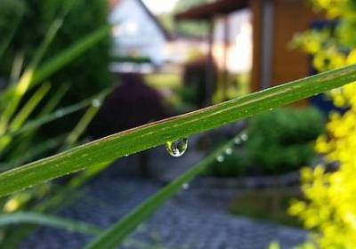 什么是什么不是造句子(合集10句) 什么是什么不是造句子(合集10句)