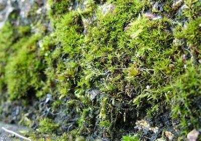 什么多有趣补充句子(60句) 什么多有趣补充句子(60句)