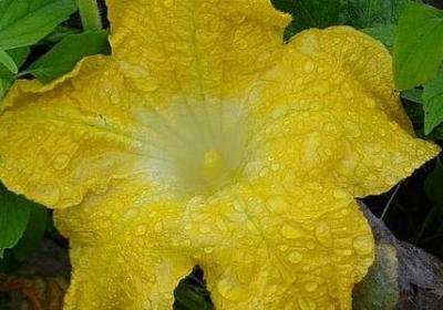 介绍荣县美景的句子(汇总10句)