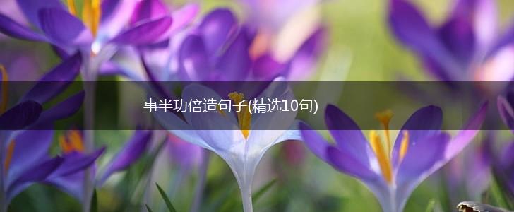事半功倍造句子(精选10句),第1张