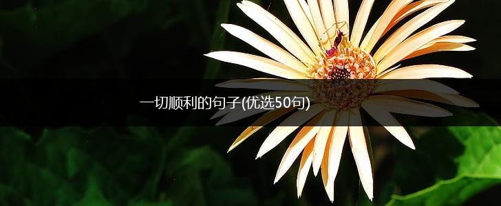 一切顺利的句子(优选50句),第1张