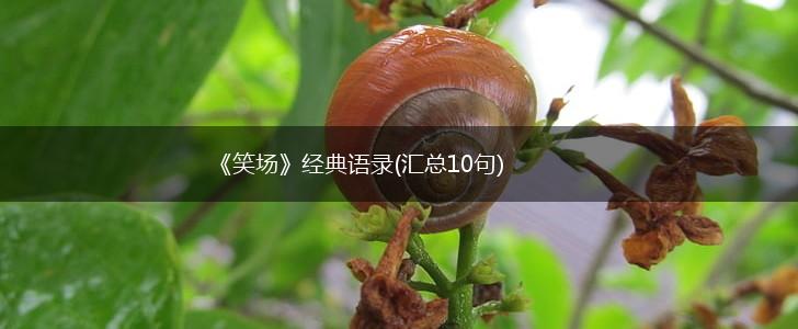 《笑场》经典语录(汇总10句),第1张 《笑场》经典语录(汇总10句),第1张