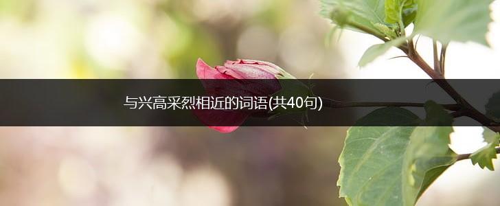 与兴高采烈相近的词语(共40句),第1张