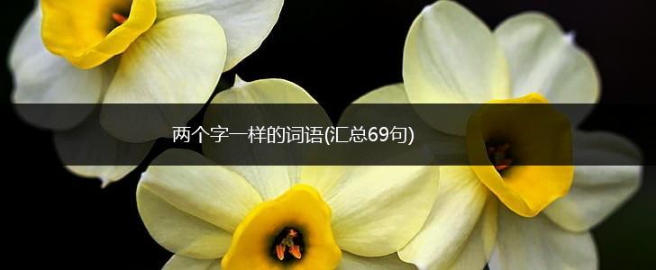 两个字一样的词语(汇总69句),第1张