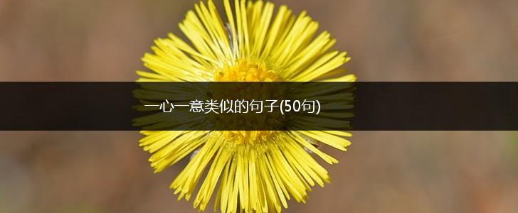 一心一意类似的句子(50句),第1张