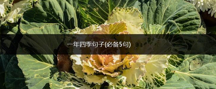 一年四季句子(必备5句),第1张