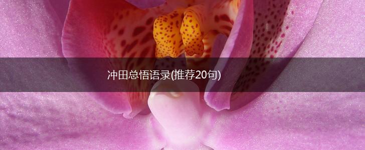 冲田总悟语录(推荐20句),第1张