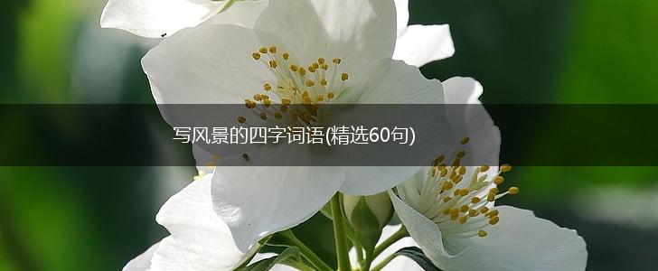 写风景的四字词语(精选60句),第1张