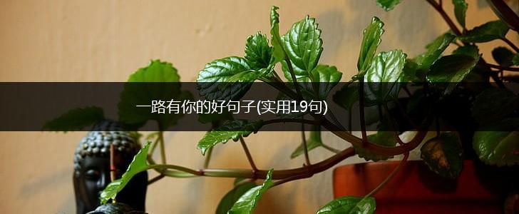一路有你的好句子(实用19句),第1张