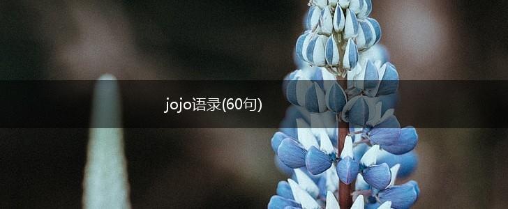 jojo语录(60句),第1张
