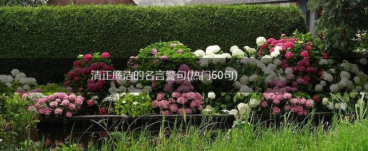 清正廉洁的名言警句(热门60句),第1张