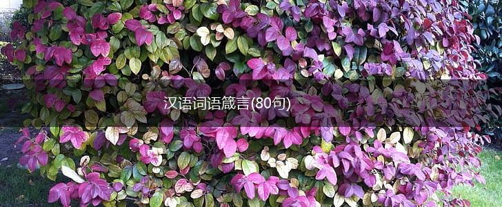 汉语词语箴言(80句),第1张