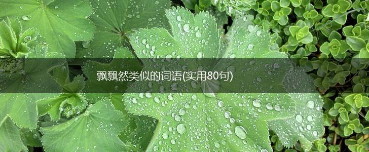 飘飘然类似的词语(实用80句),第1张