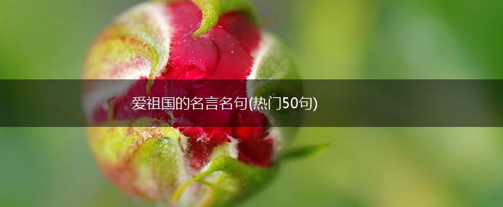 爱祖国的名言名句(热门50句),第1张