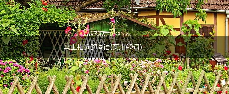 马上相近的词语(实用40句),第1张